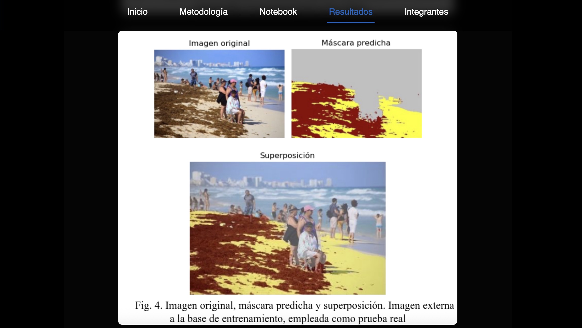 Máscara predicha, Detección de Sargazo